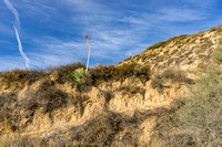 Zenfolio Southern California Hills